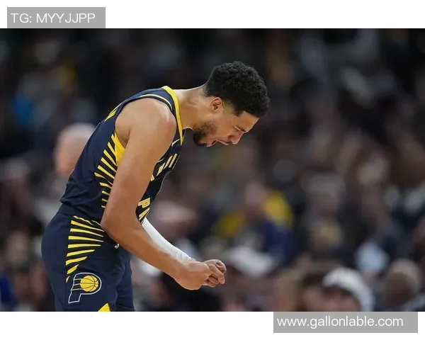 哈利篮球明星的成长之路与梦想追逐的精彩旅程